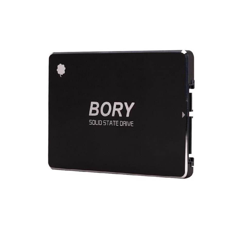 128 GB BORY SATA3 R500-C128G SSD 550/510 MBS (3 YIL GARANTİLİ) 