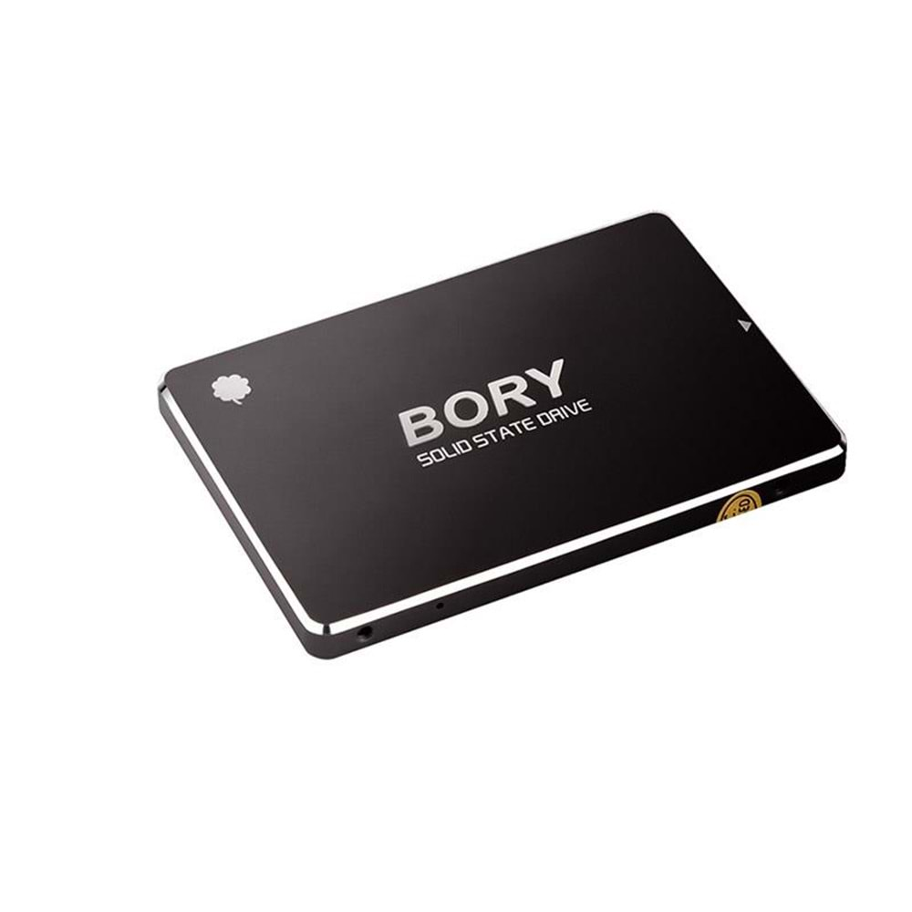 256 GB BORY SATA3 R500-C256G SSD 550/510 MBS (3 YIL GARANTİLİ) 