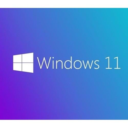 MS WINDOWS 11 PRO 64 BIT TURKCE OEM FQC-10556 